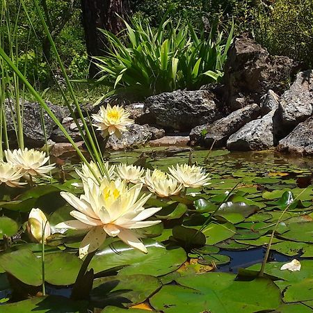 Bastida De Beata Bed & Breakfast Noailles  Bagian luar foto