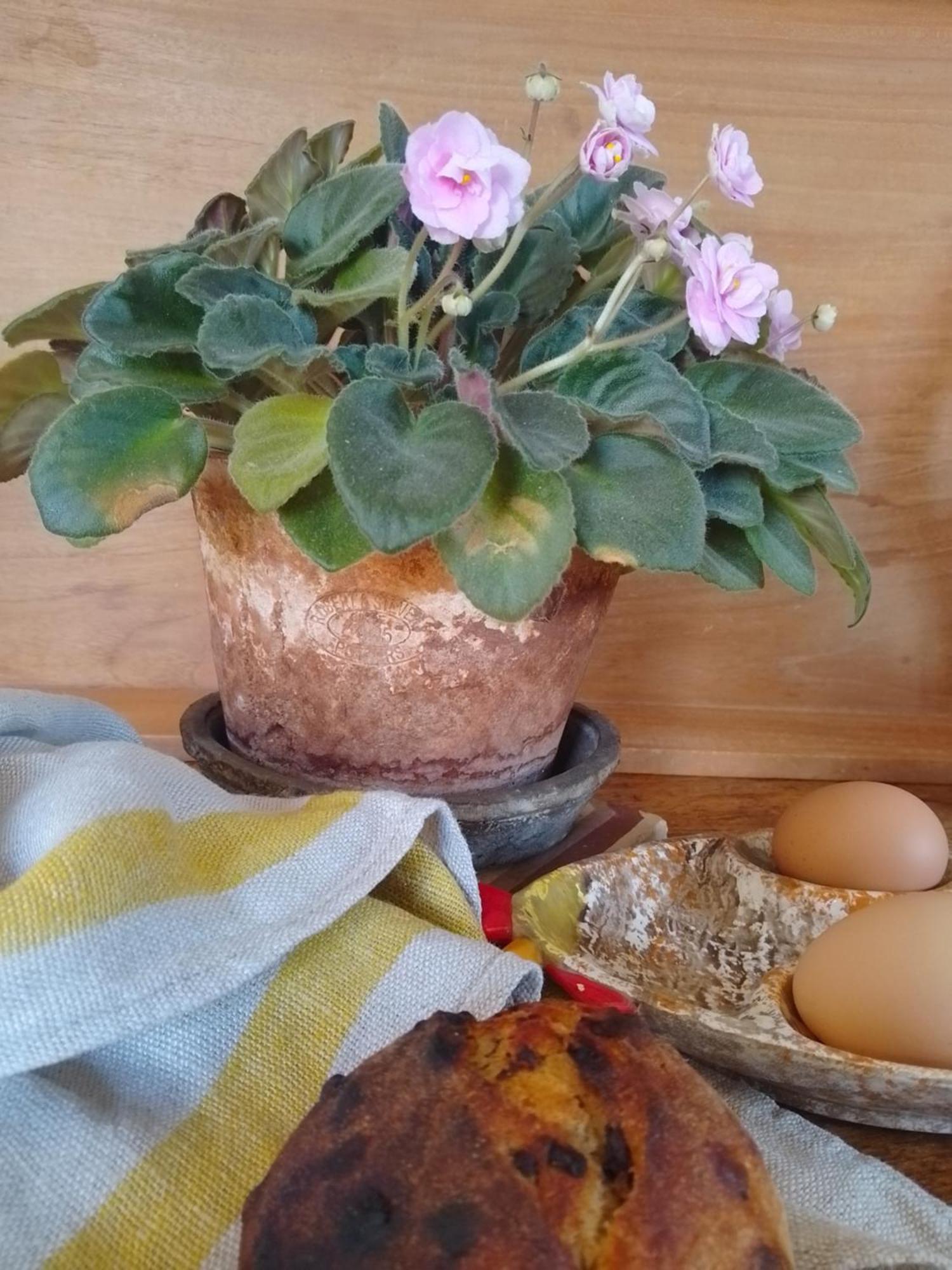 Bastida De Beata Bed & Breakfast Noailles  Bagian luar foto