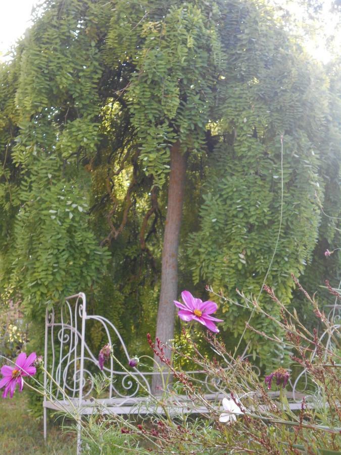 Bastida De Beata Bed & Breakfast Noailles  Bagian luar foto