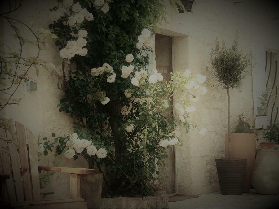 Bastida De Beata Bed & Breakfast Noailles  Bagian luar foto