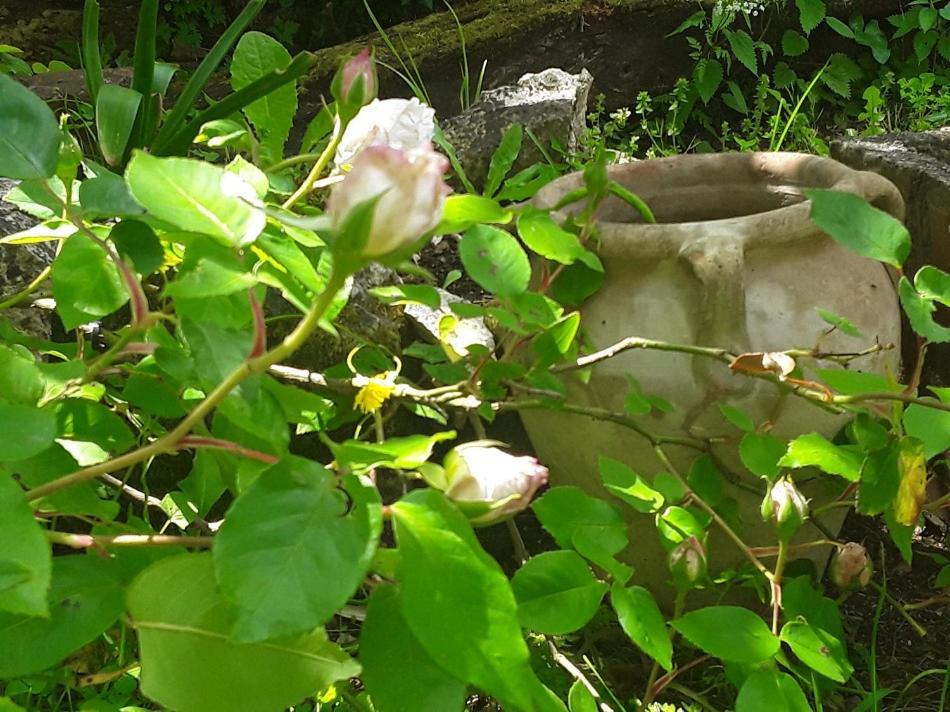 Bastida De Beata Bed & Breakfast Noailles  Bagian luar foto